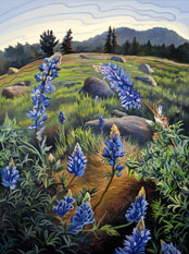 Hope’s Lupine