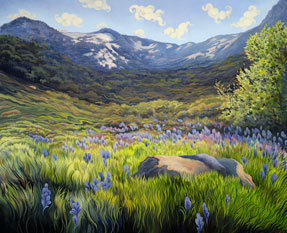 Mountain Meadow